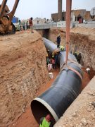 WhatsApp Image 2023-05-20 at 2.39.56 PM - Copy (2)