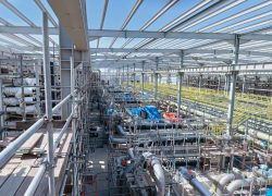 WhatsApp Image 2023-05-28 at 3.31.52 PM (2)